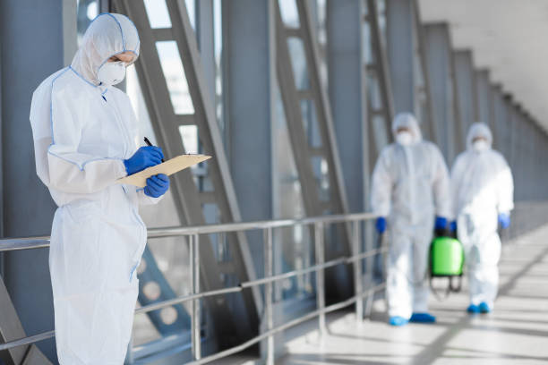 Best Emergency Mold Remediation  in Logan, NM