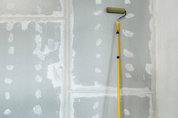 Forensic Mold Investigation in Logan, NM