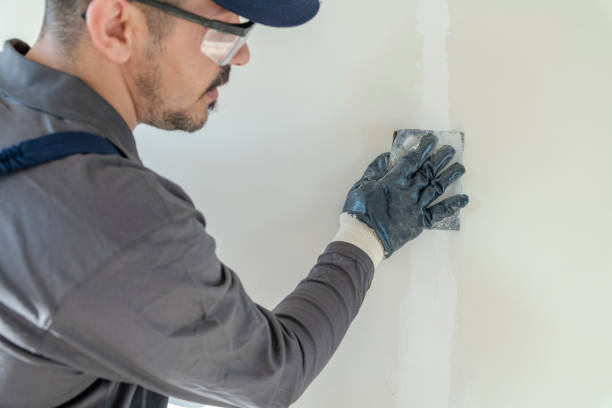 Best Mold Remediation for Healthcare Facilities  in Logan, NM