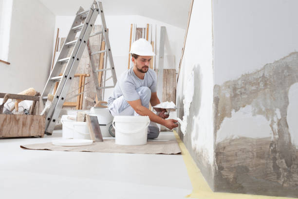  Logan, NM Mold Removal Pros