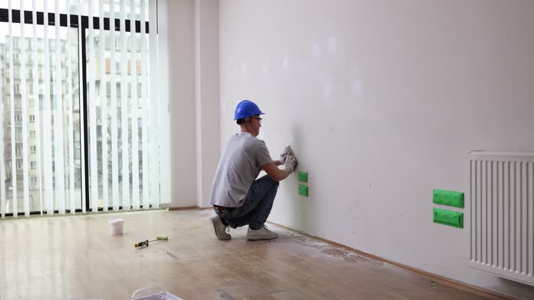 Best Black Mold Removal  in Logan, NM