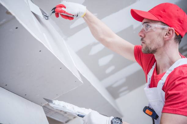 Best Crawl Space Mold Remediation  in Logan, NM